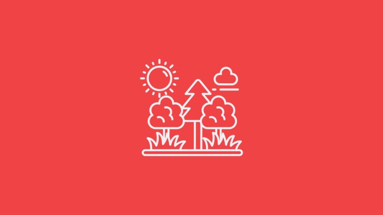 5 Low Cost Activities to Help Kids Connect with Nature
