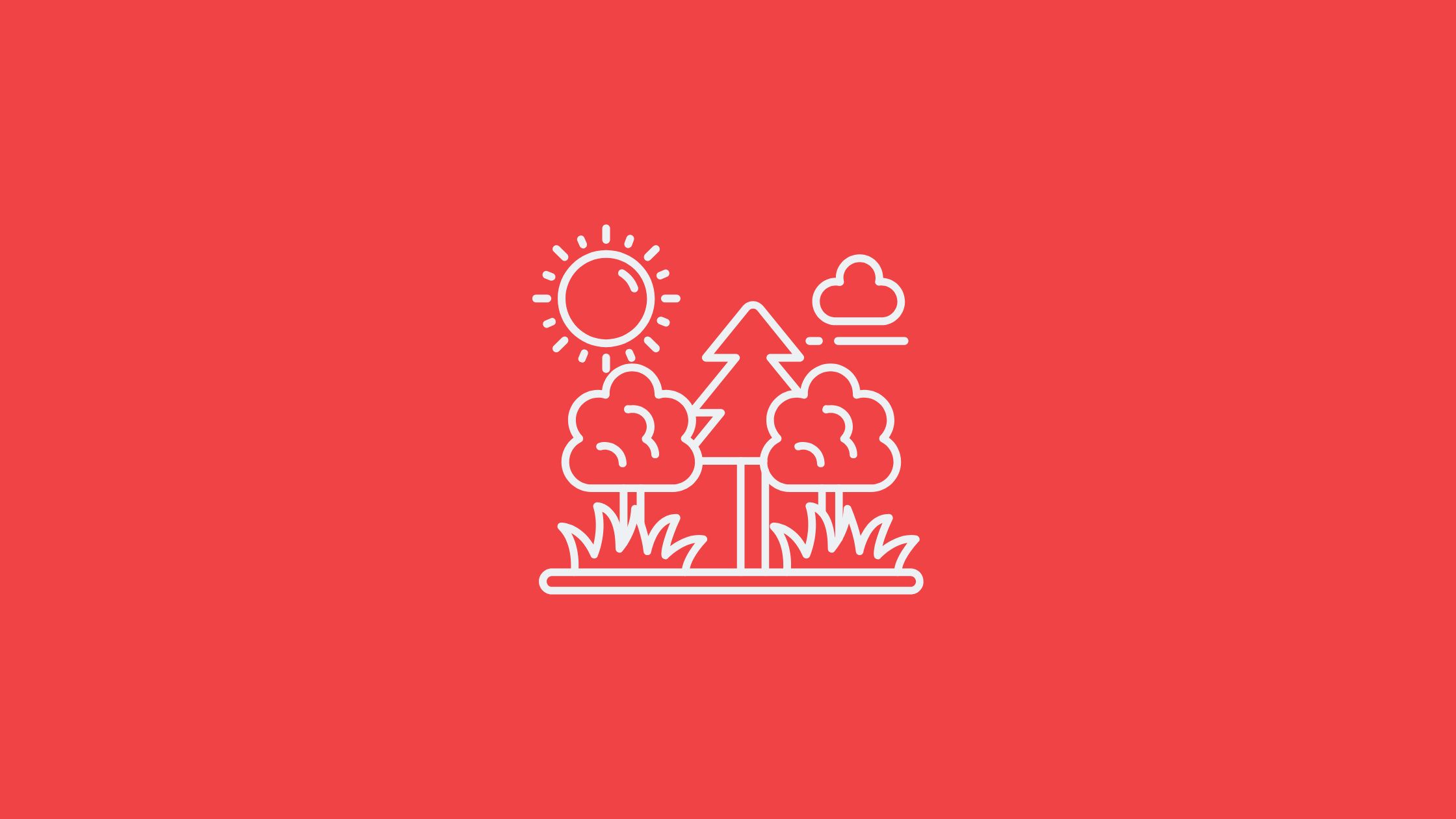 5 Low Cost Activities to Help Kids Connect with Nature